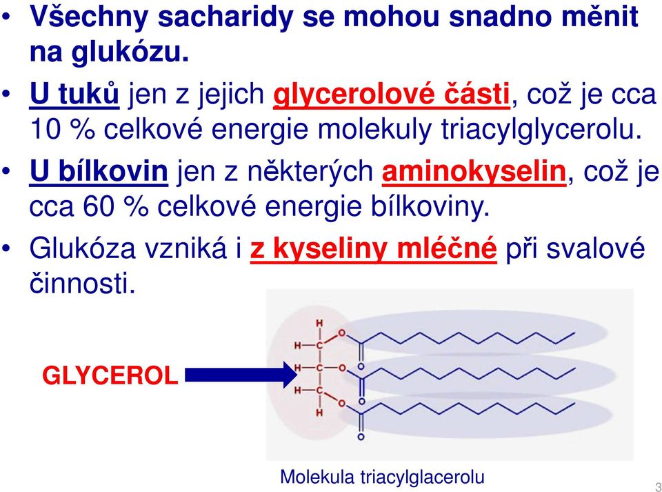 triacylglycerolu.