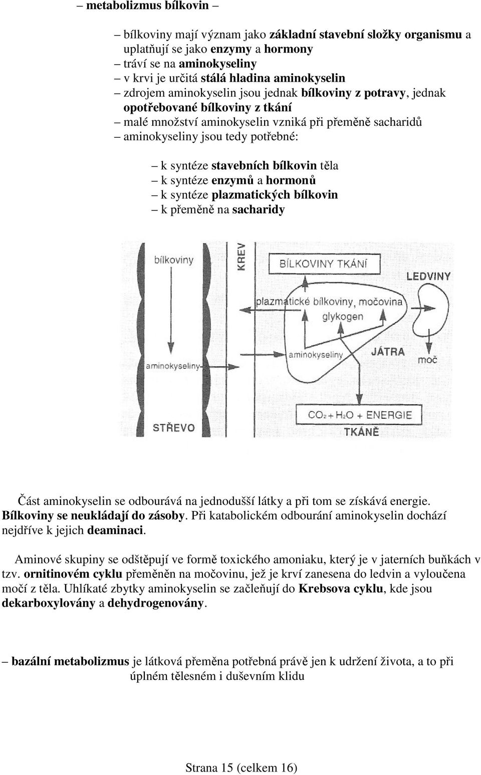 bílkovin těla k syntéze enzymů a hormonů k syntéze plazmatických bílkovin k přeměně na sacharidy Část aminokyselin se odbourává na jednodušší látky a při tom se získává energie.