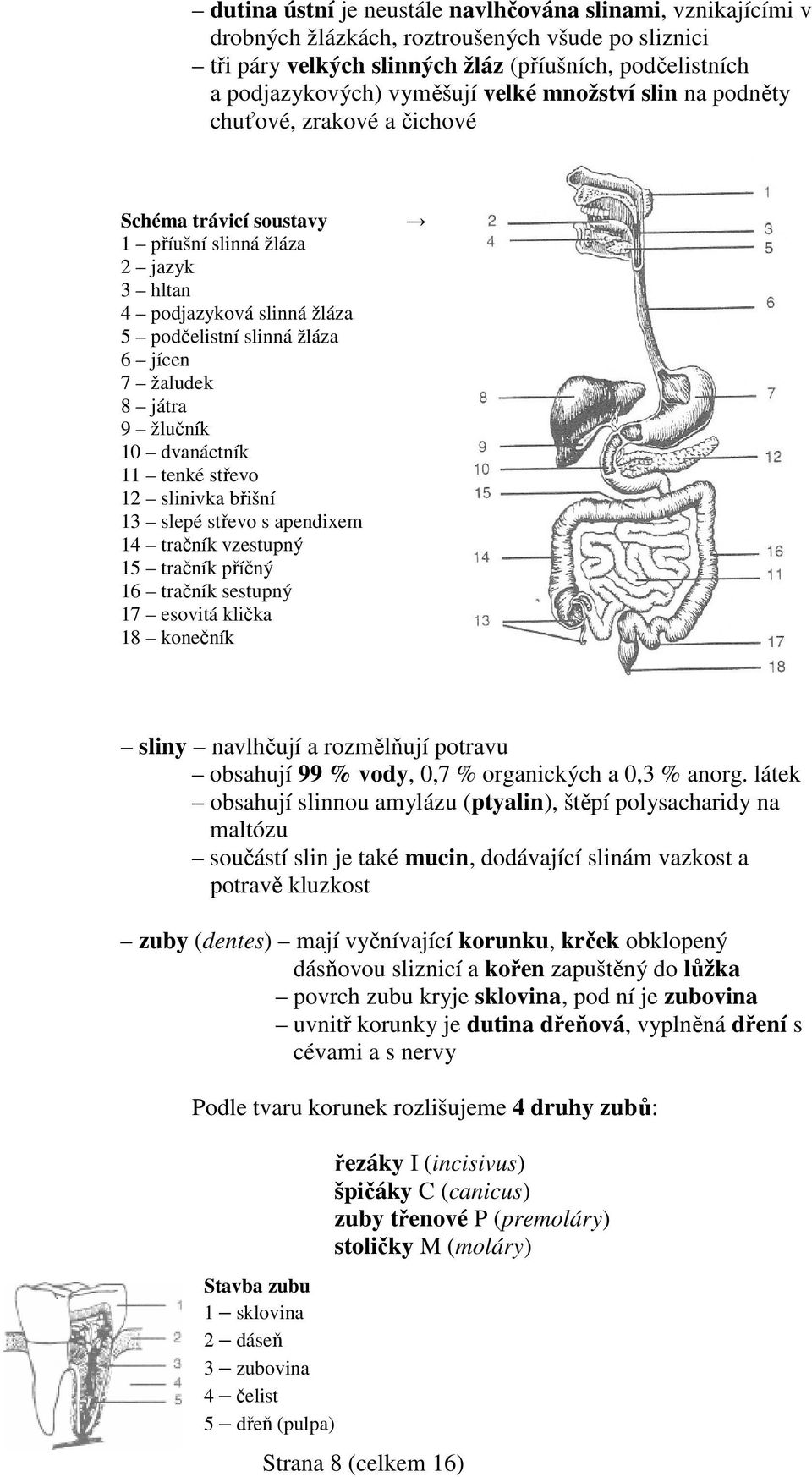 játra 9 žlučník 10 dvanáctník 11 tenké střevo 12 slinivka břišní 13 slepé střevo s apendixem 14 tračník vzestupný 15 tračník příčný 16 tračník sestupný 17 esovitá klička 18 konečník sliny navlhčují a