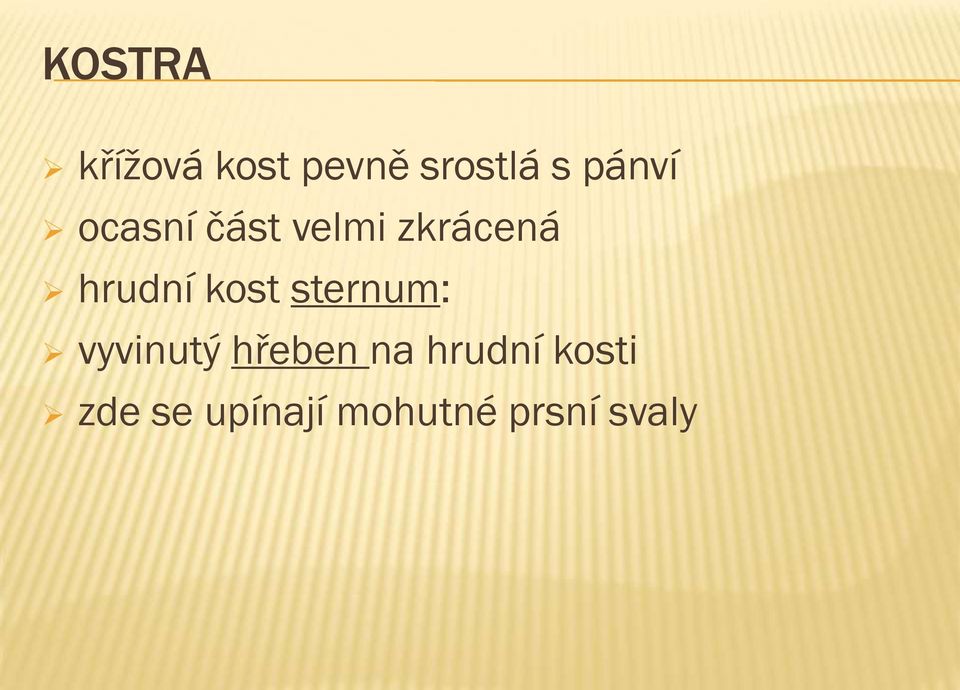 hrudní kost sternum: vyvinutý hřeben