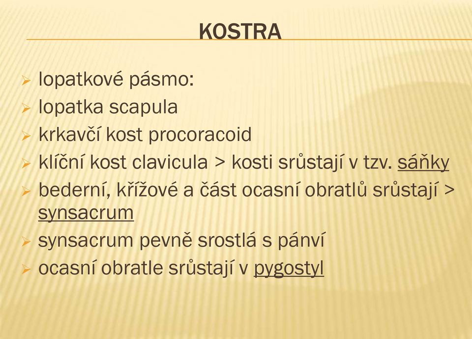 sáňky bederní, křížové a část ocasní obratlů srůstají >