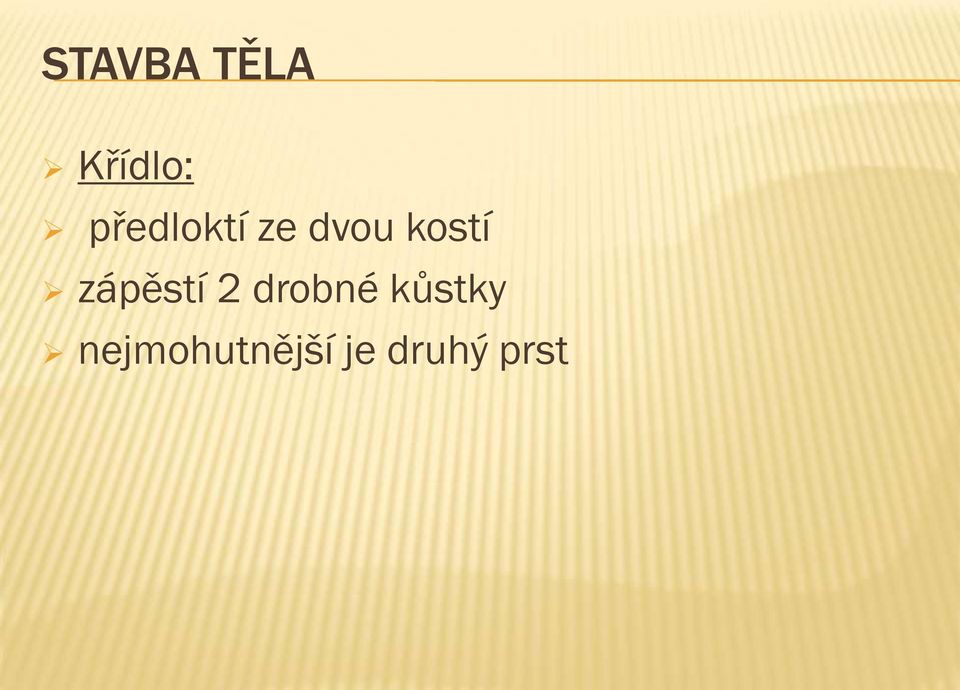 zápěstí 2 drobné kůstky