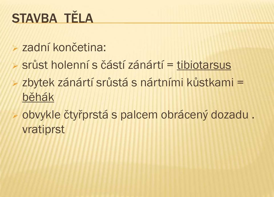 zánártí srůstá s nártními kůstkami = běhák