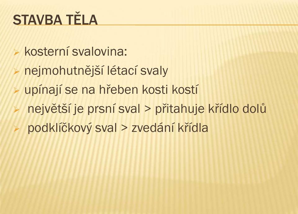 hřeben kosti kostí největší je prsní sval