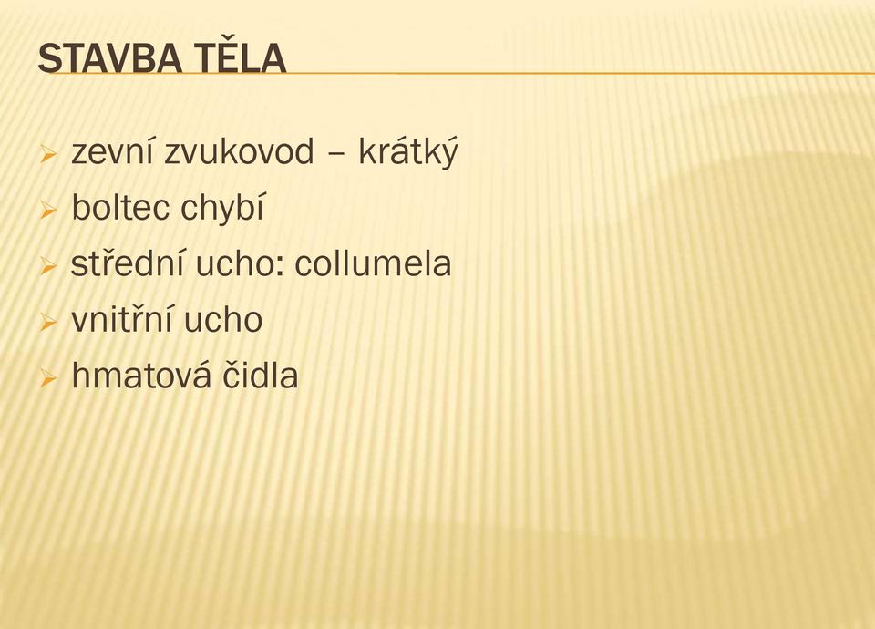 chybí střední ucho: