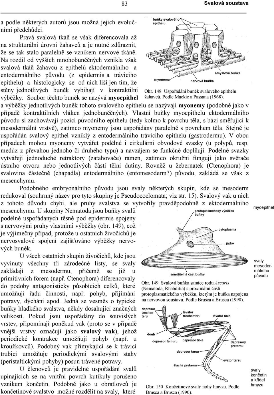 Na rozdíl od vyšších mnohobuněčných vznikla však svalová tkáň žahavců z epithelů ektodermálního a entodermálního původu (z epidermis a trávicího epithelu) a histologicky se od nich liší jen tím, že