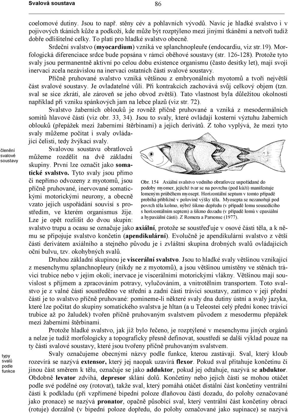 Srdeční svalstvo (myocardium) vzniká ve splanchnopleuře (endocardiu, viz str.19). Morfologická diferenciace srdce bude popsána v rámci oběhové soustavy (str. 126-128).