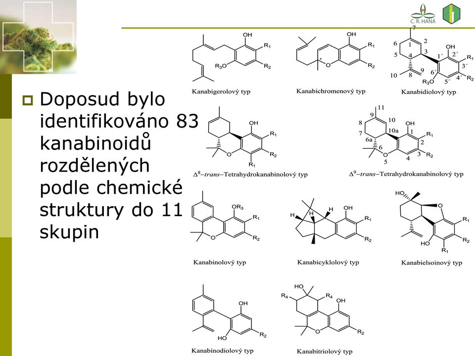 kanabinoidů