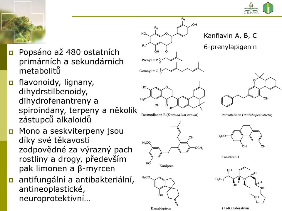 seskviterpeny jsou díky své těkavosti zodpovědné za výrazný pach rostliny a drogy, především pak