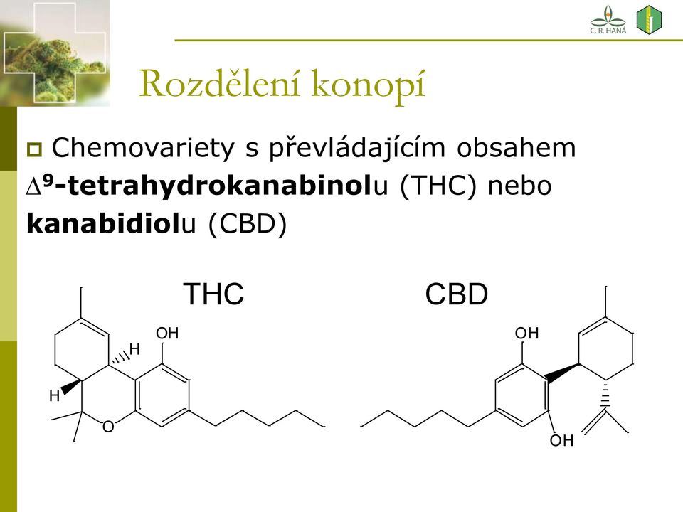 -tetrahydrokanabinolu (THC) nebo