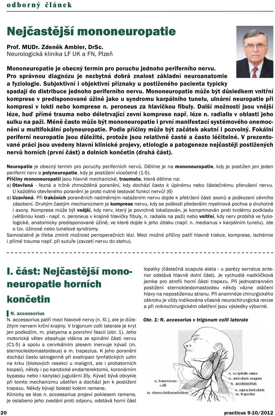 Mononeuropatie může být důsledkem vnitřní komprese v predisponované úžině jako u syndromu karpálního tunelu, ulnární neuropatie při kompresi v lokti nebo komprese n. peroneus za hlavičkou fibuly.