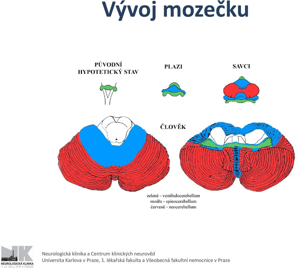 Universita Karlova v Praze, 1.