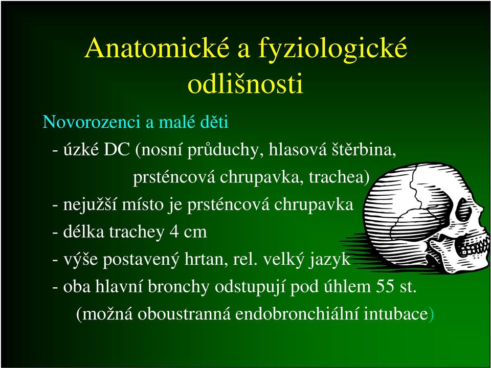 prsténcová chrupavka - délka trachey 4 cm - výše postavený hrtan, rel.