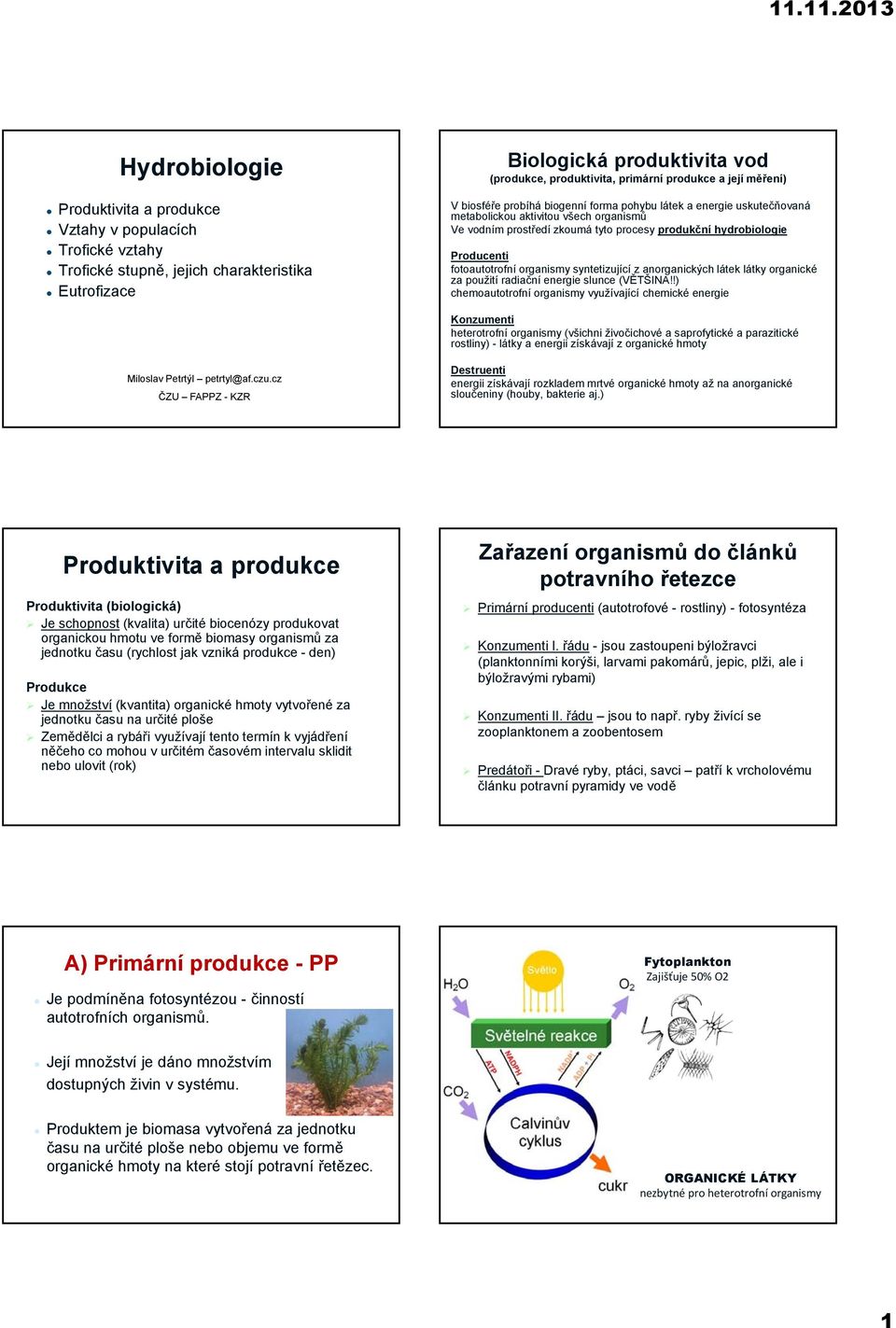 fotoautotrofní organismy syntetizující z anorganických látek látky organické za použití radiační energie slunce (VĚTŠINA!