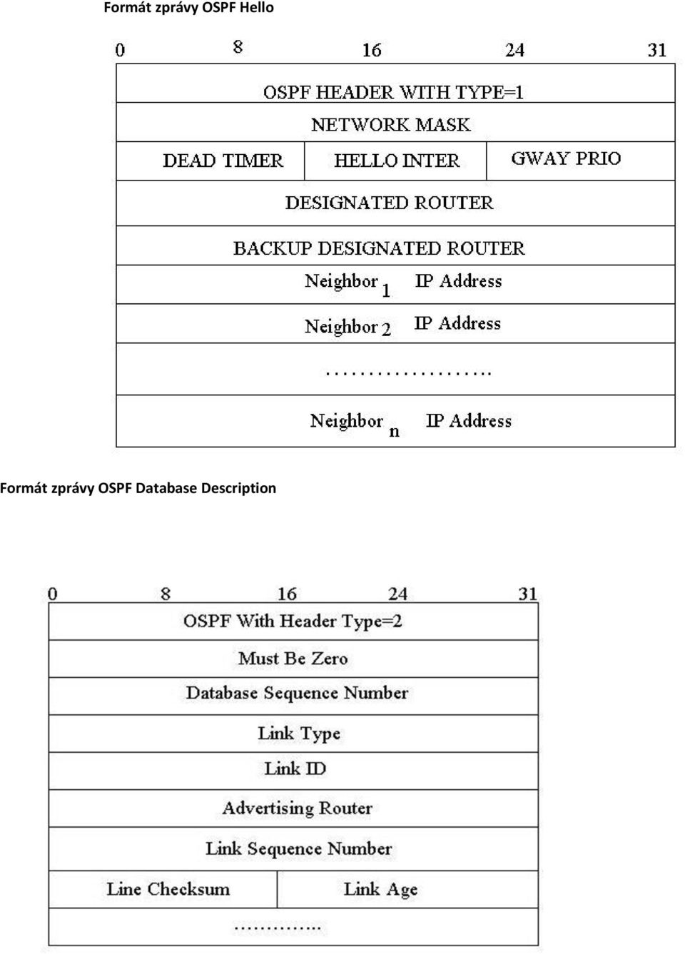 OSPF Database