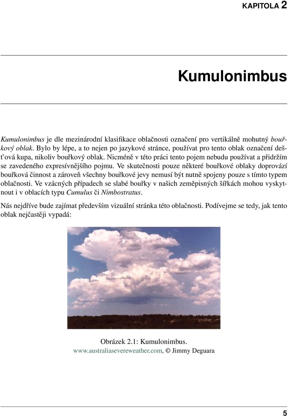 Nicméně v této práci tento pojem nebudu používat a přidržím se zavedeného expresívnějšího pojmu.
