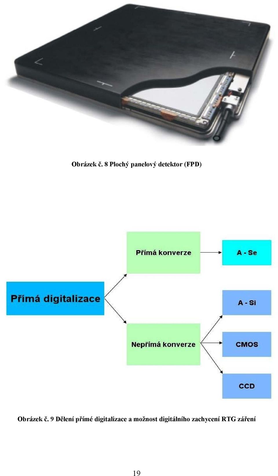 (FPD)  9 Dělení přímé