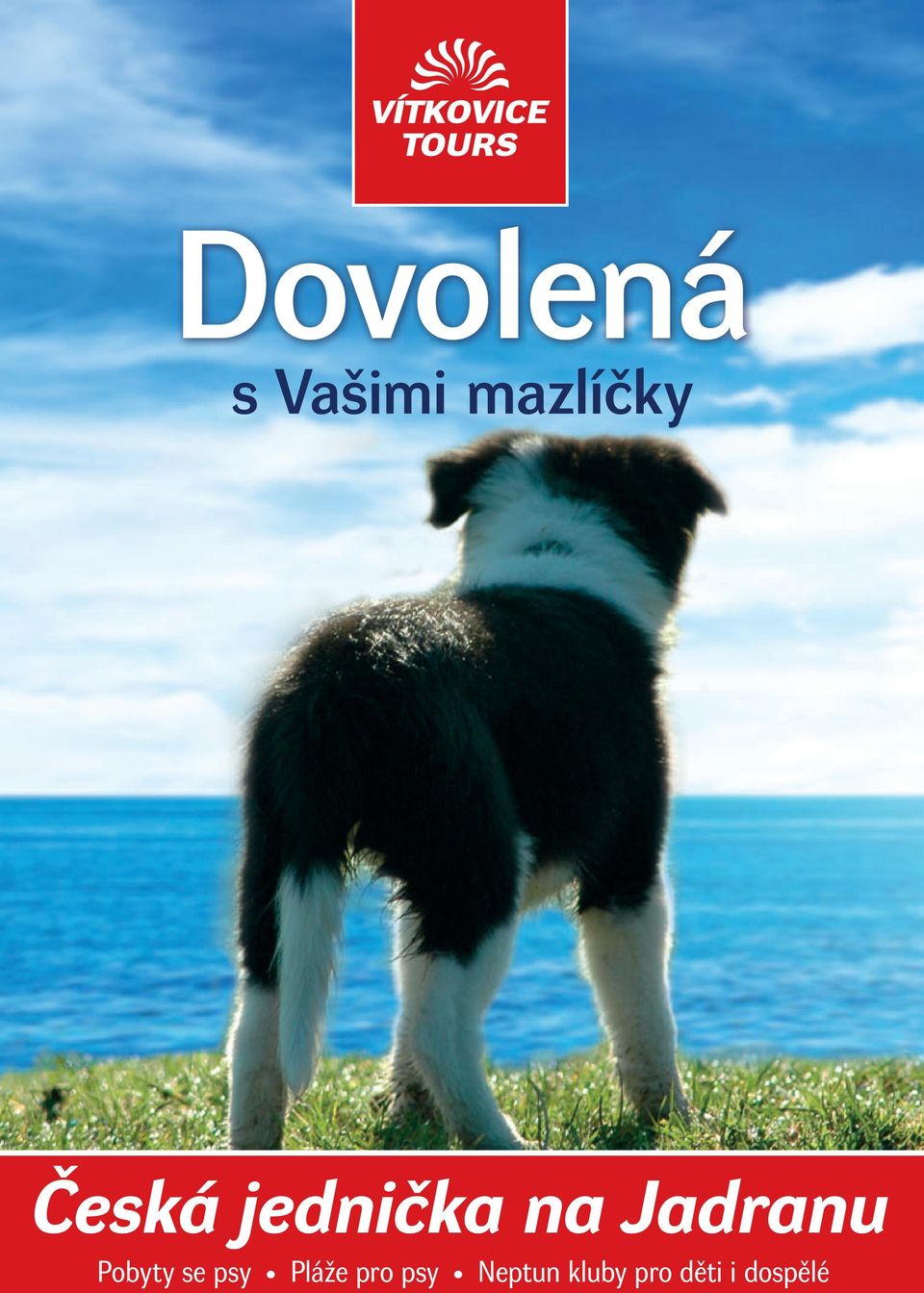 Pobyty se psy Pláže pro psy