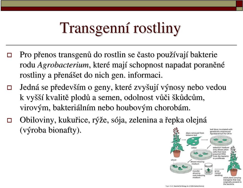 Jedná se především o geny, které zvyšují výnosy nebo vedou k vyšší kvalitě plodů a semen, odolnost vůči