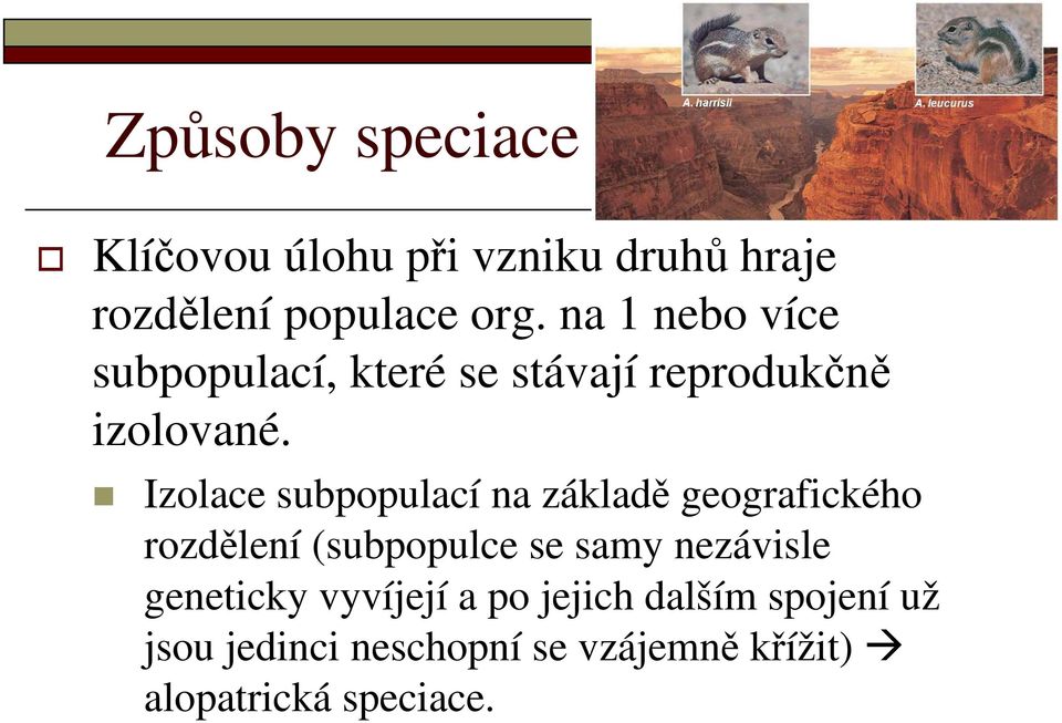 Izolace subpopulací na základě geografického rozdělení (subpopulce se samy nezávisle