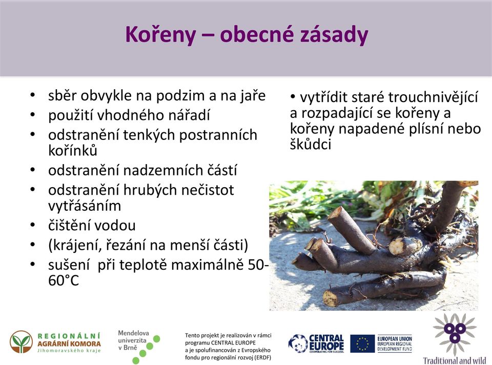 vytřásáním čištění vodou (krájení, řezání na menší části) sušení při teplotě maximálně