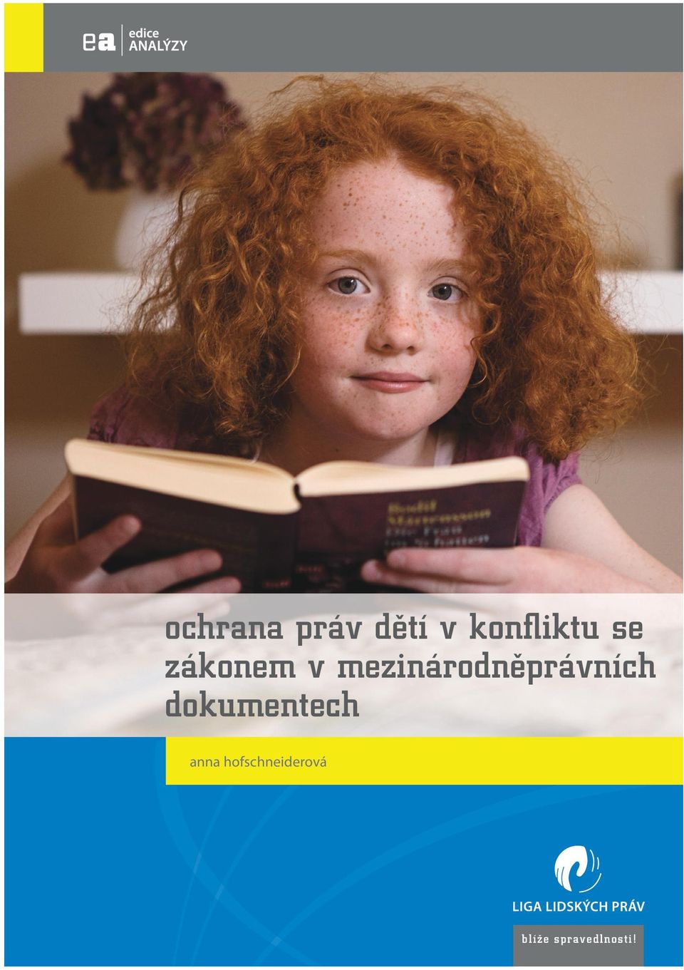 mezinárodněprávních