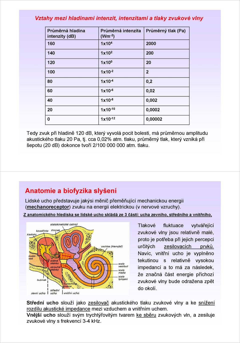 cca 0,02% atm. tlaku, průměrný tlak, který vzniká při šepotu (20 db) dokonce tvoří 2/100 000 000 atm. tlaku. Anatomie a biofyzika slyšení Lidské ucho představuje jakýsi měnič přeměňující mechanickou energii (mechanoreceptor) zvuku na energii elektrickou (v nervové vzruchy).