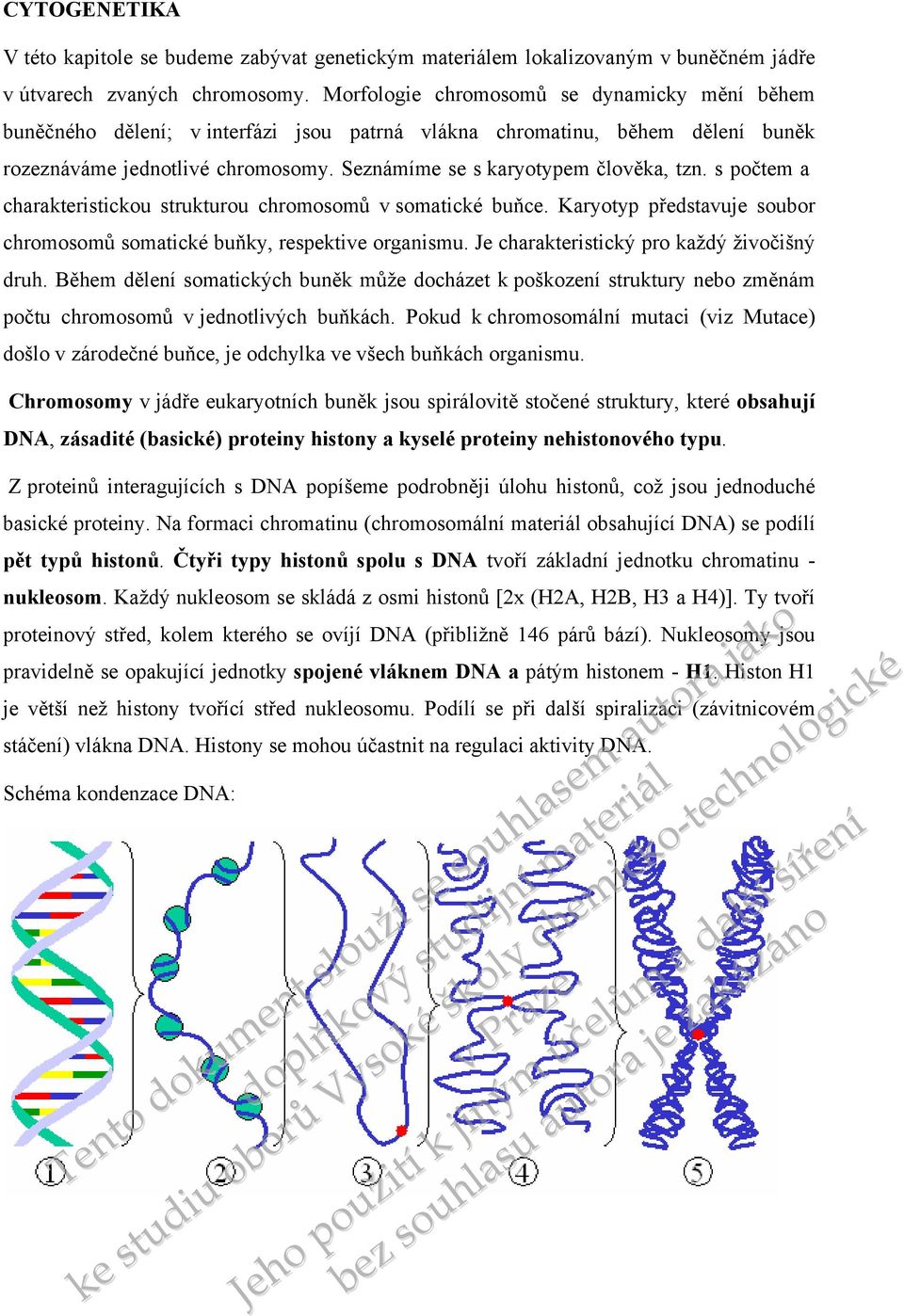 s počtem a charakteristickou strukturou chromosomů v somatické buňce. Karyotyp představuje soubor chromosomů somatické buňky, respektive organismu. Je charakteristický pro každý živočišný druh.