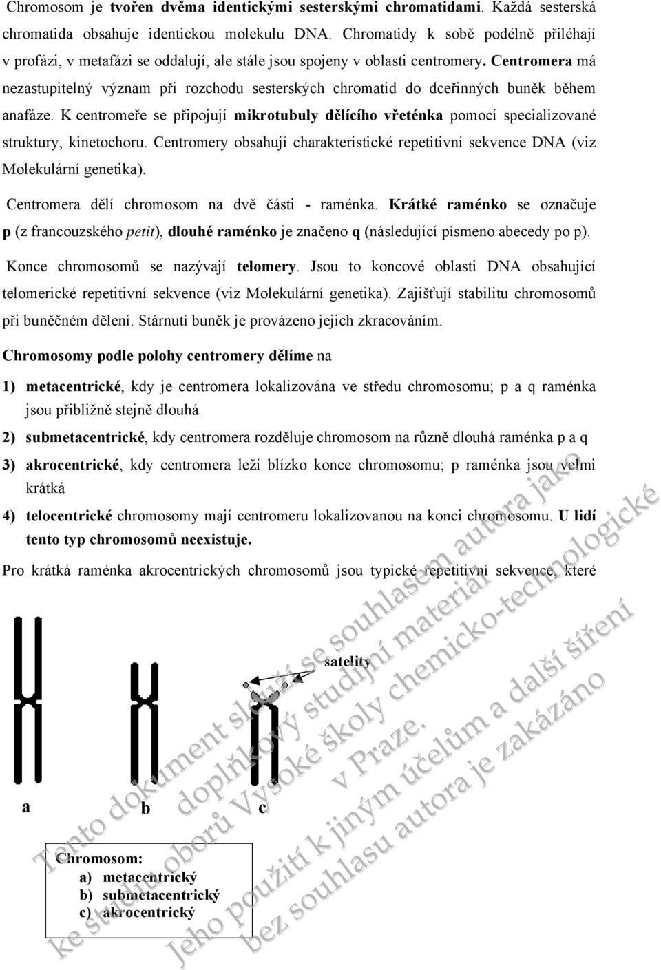 Centromera má nezastupitelný význam při rozchodu sesterských chromatid do dceřinných buněk během anafáze.