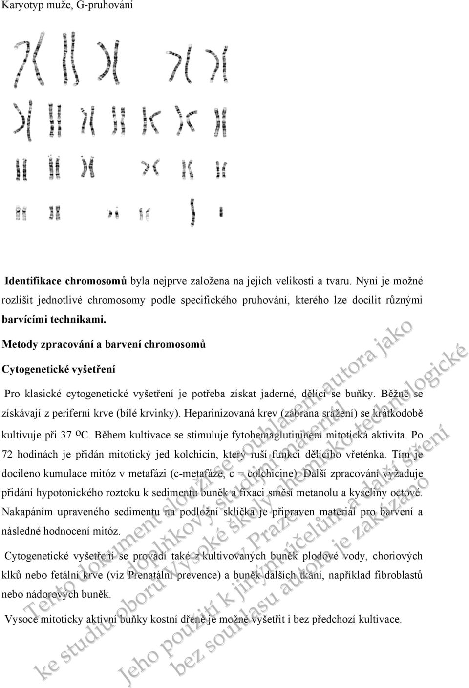 Metody zpracování a barv chromosomů Cytogenetické vyšetř Pro klasické cytogenetické vyšetř je potřeba získat jaderné, dělící se buňky. Běžně se získávají z periferní krve (bílé krvinky).