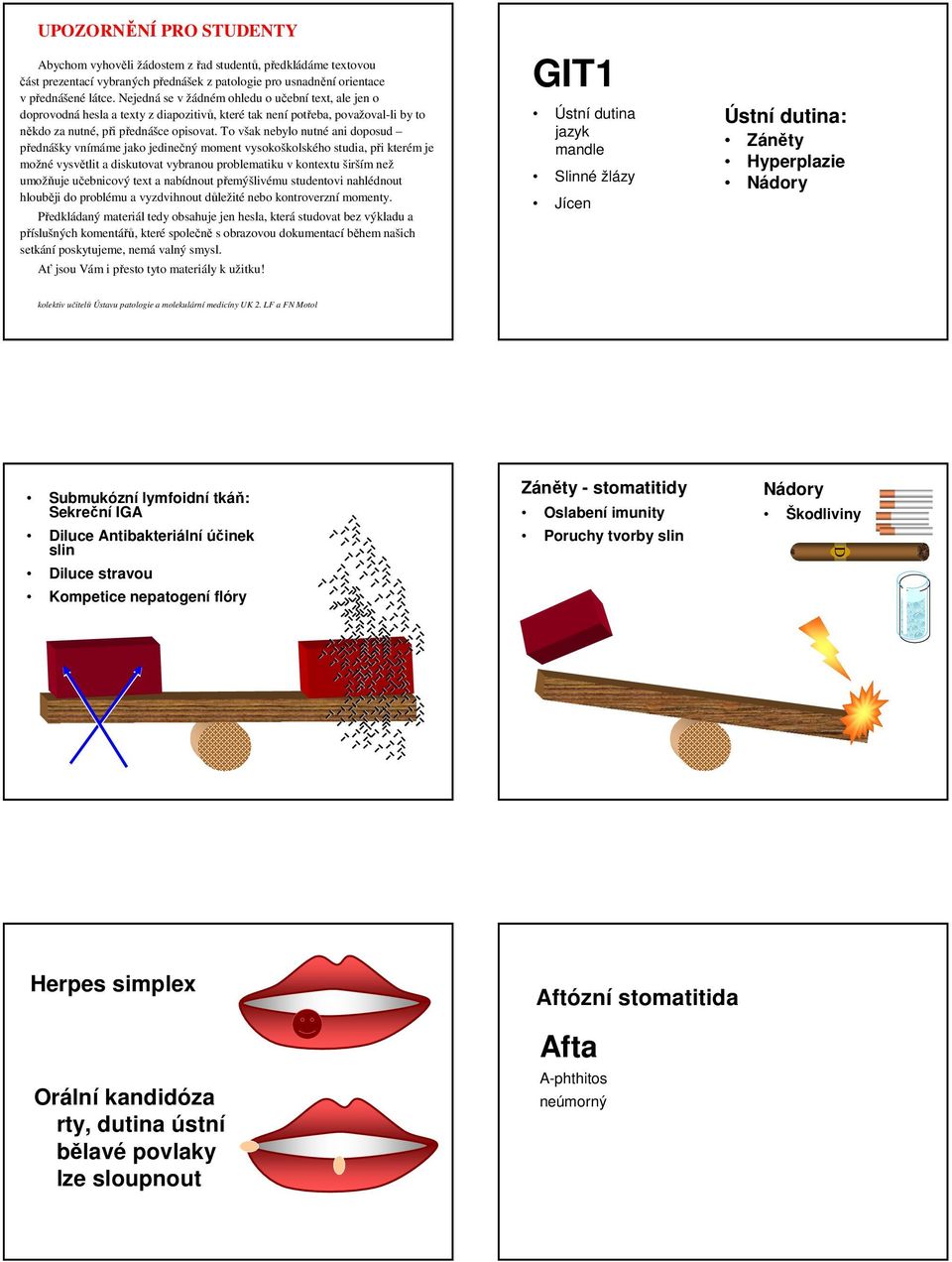 To však nebylo nutné ani doposud přednášky vnímáme jako jedinečný moment vysokoškolského studia, při kterém je možné vysvětlit a diskutovat vybranou problematiku v kontextu širším než umožňuje