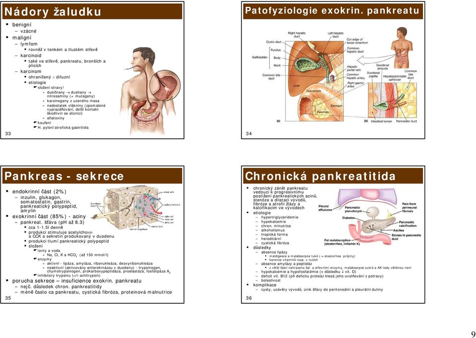 pylori/atrofická gastritida 33 Patofyziologie exokrin.