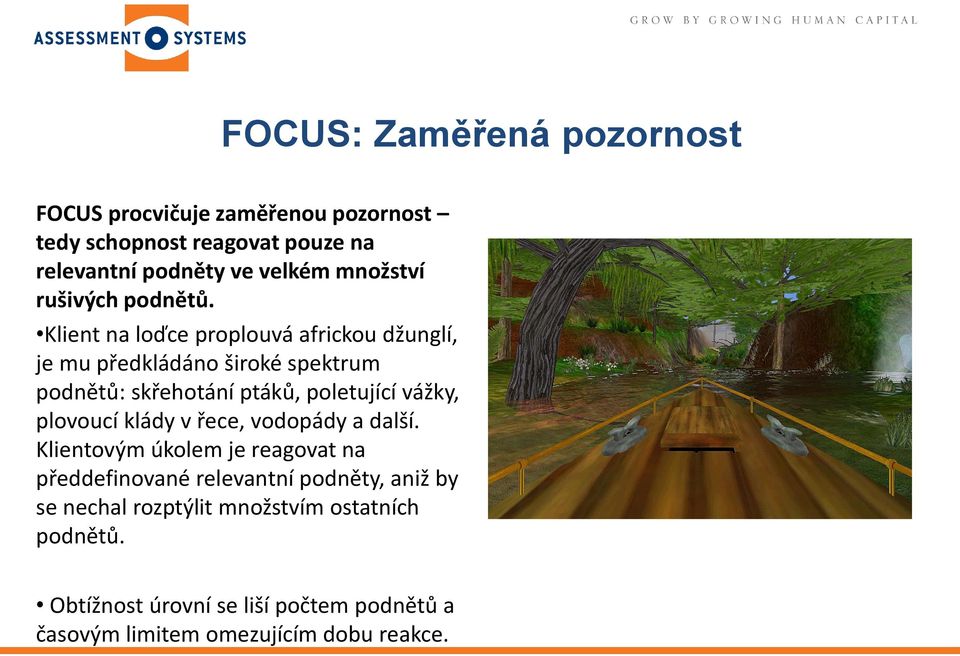 Klient na loďce proplouvá africkou džunglí, je mu předkládáno široké spektrum podnětů: skřehotání ptáků, poletující vážky,
