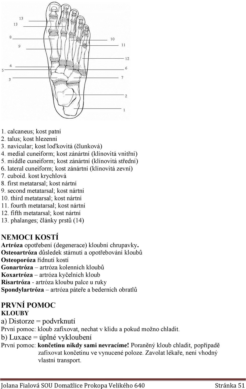 second metatarsal; kost nártní 10. third metatarsal; kost nártní 11. fourth metatarsal; kost nártní 12. fifth metatarsal; kost nártní 13.