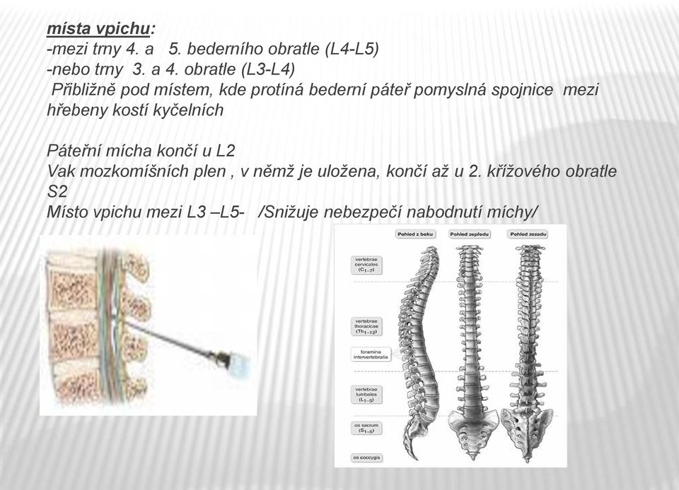 hřebeny kostí kyčelních Páteřní mícha končí u L2 Vak mozkomíšních plen, v němž je