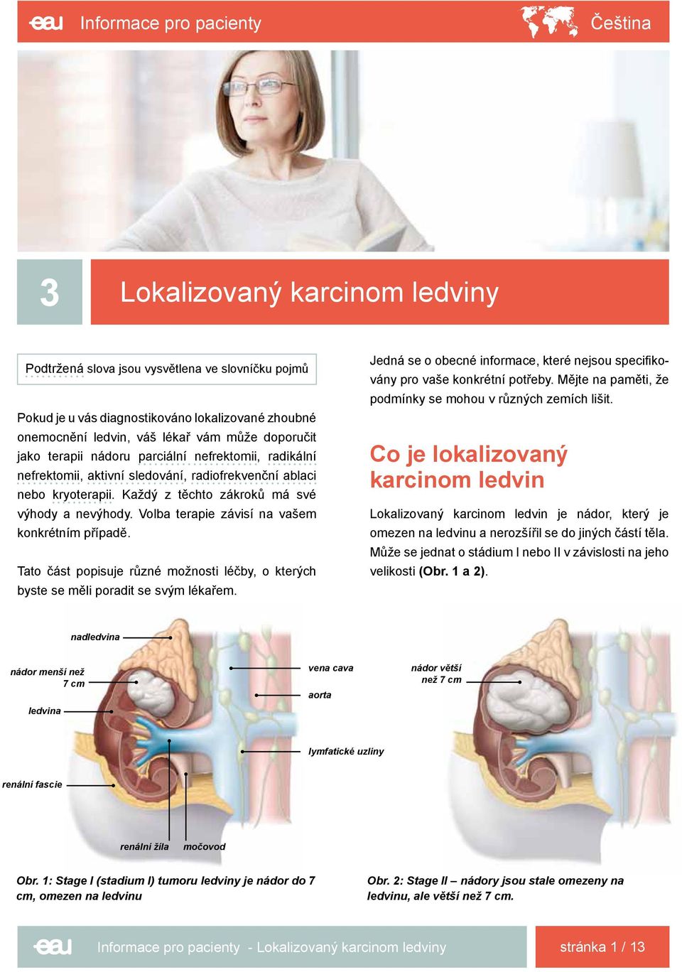 Volba terapie závisí na vašem konkrétním případě. Tato část popisuje různé možnosti léčby, o kterých byste se měli poradit se svým lékařem.