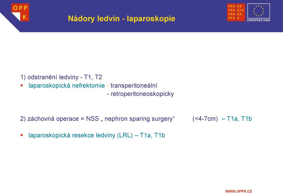 retroperitoneoskopicky 2) záchovná operace = NSS nephron