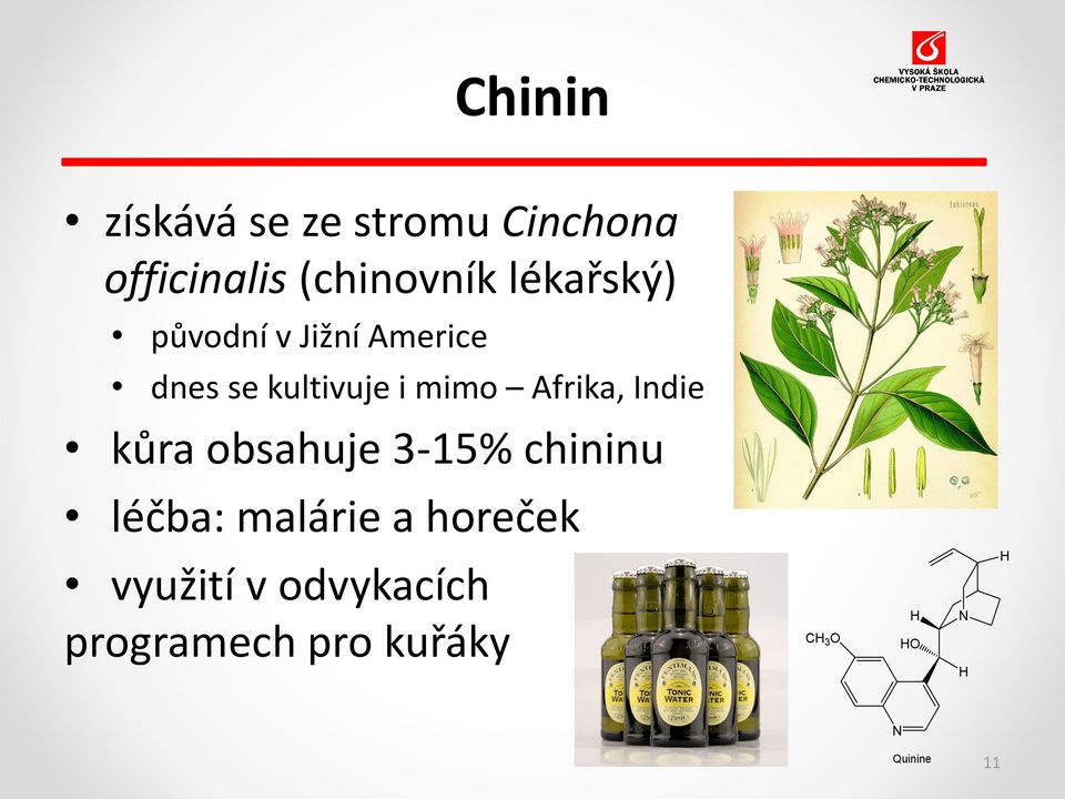 Afrika, Indie kůra obsahuje 3-15% chininu léčba: malárie a