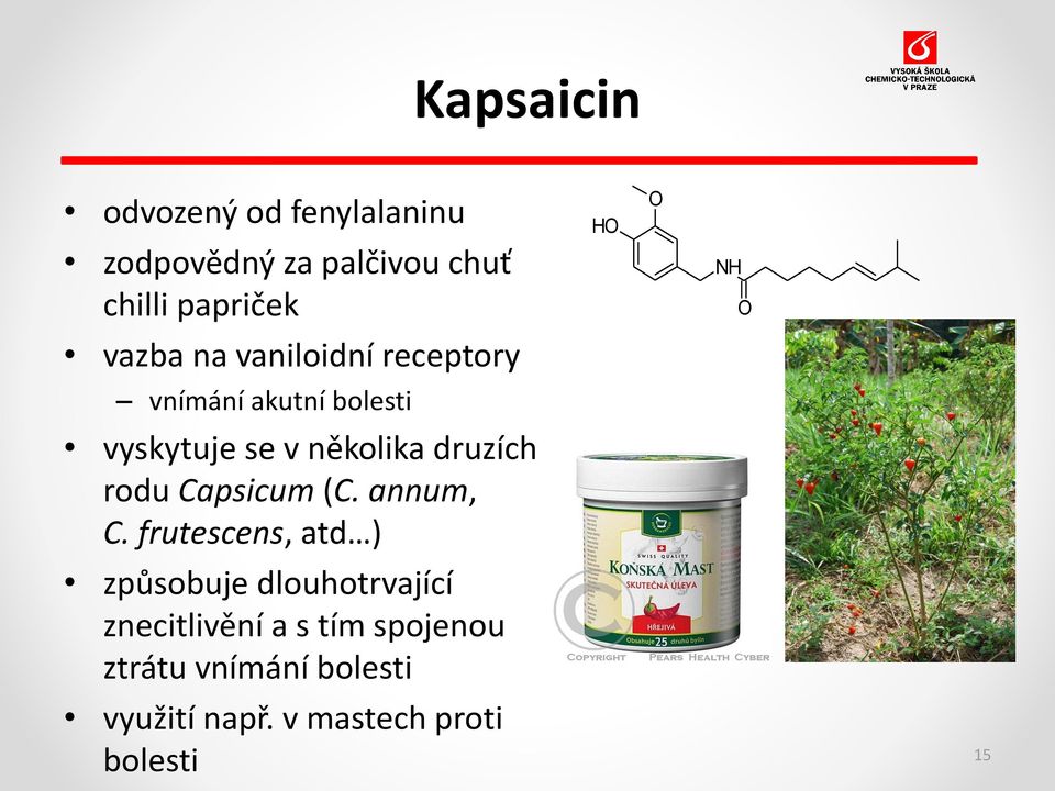 druzích rodu Capsicum (C. annum, C.