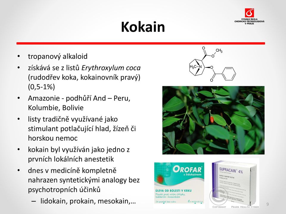 potlačující hlad, žízeň či horskou nemoc kokain byl využíván jako jedno z prvních lokálních anestetik