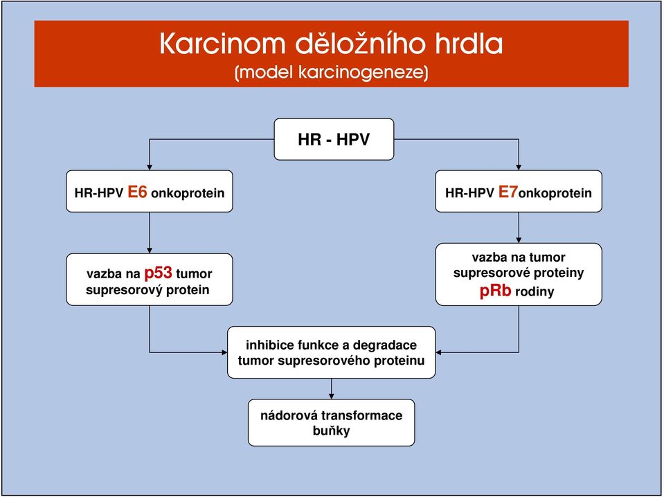 protein vazba na tumor supresorové proteiny prb rodiny inhibice