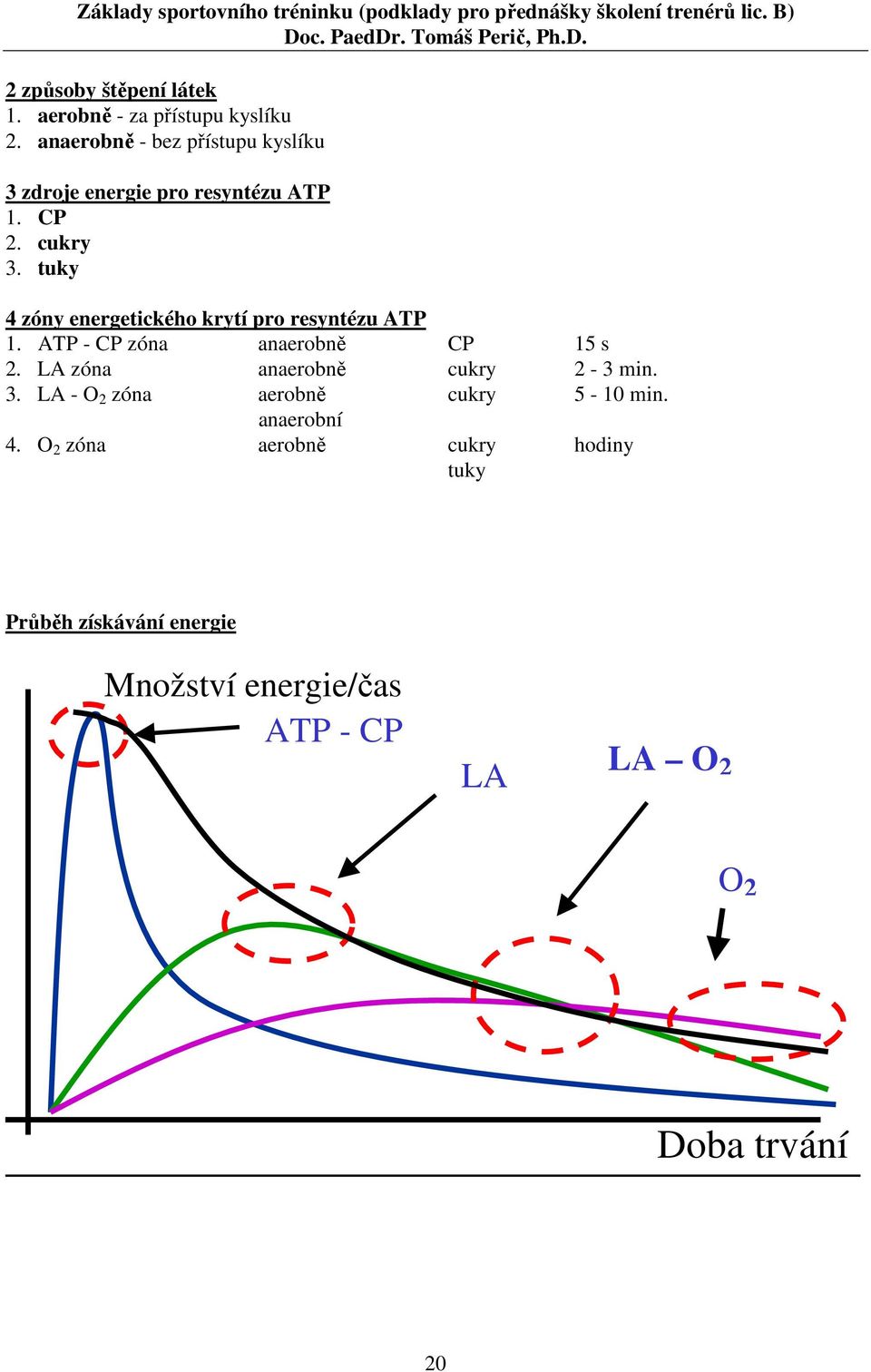tuky 4 zóny energetického krytí pro resyntézu ATP 1. ATP - CP zóna anaerobně CP 15 s 2.