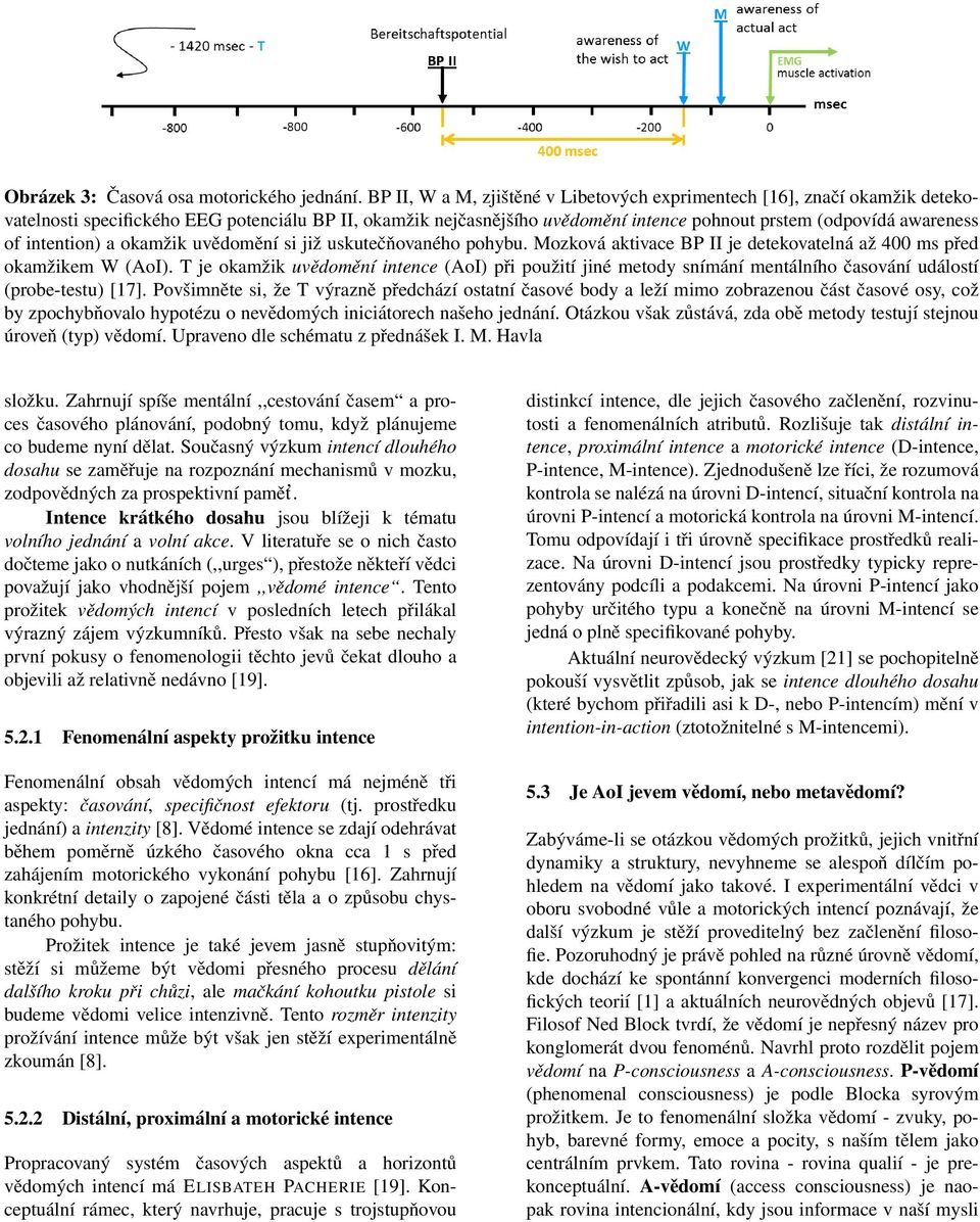 intention) a okamžik uvědomění si již uskutečňovaného pohybu. Mozková aktivace BP II je detekovatelná až 400 ms před okamžikem W (AoI).