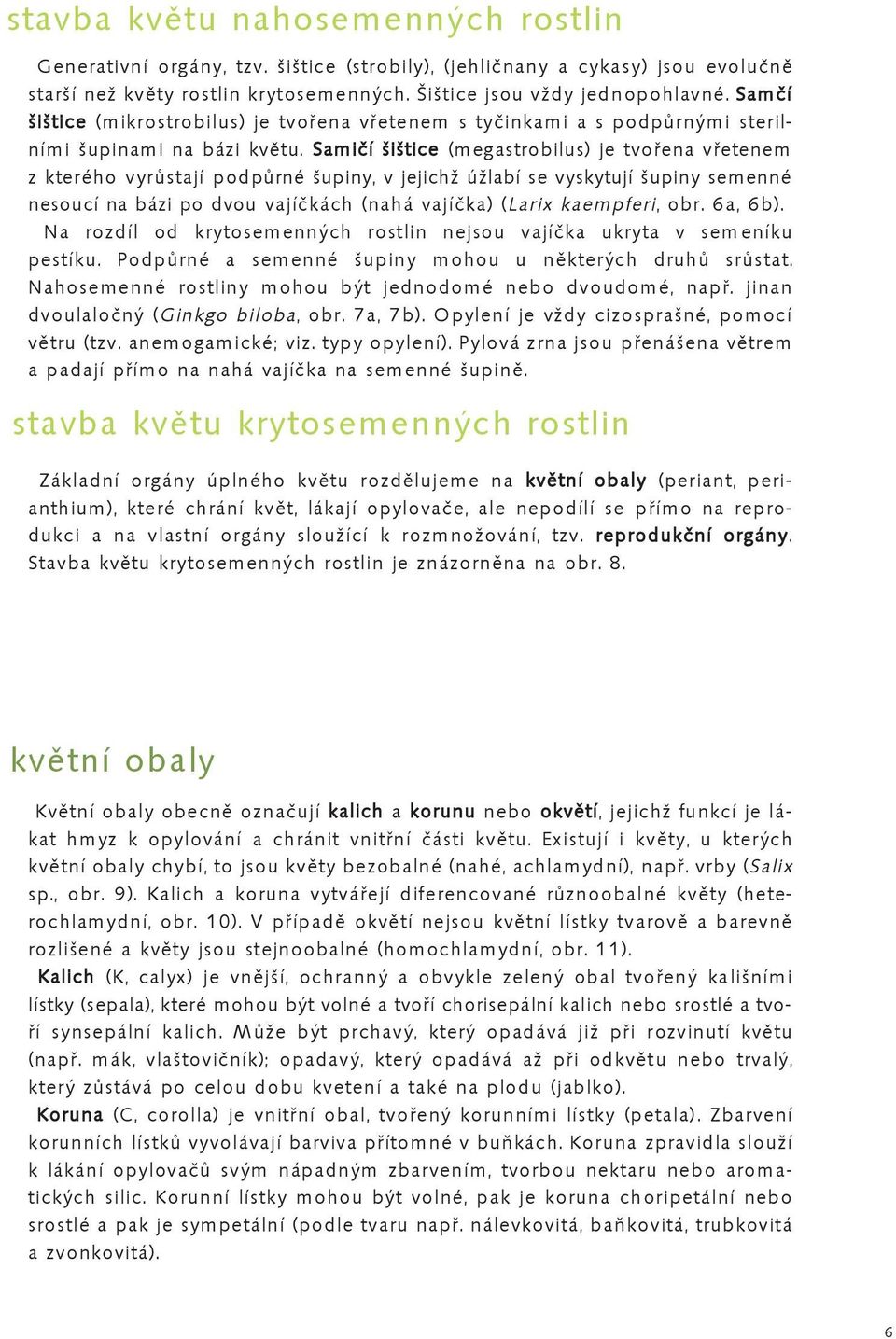 Samičí šištice (megastrobilus) je tvořena vřetenem z kterého vyrůstají podpůrné šupiny, v jejichž úžlabí se vyskytují šupiny semenné nesoucí na bázi po dvou vajíčkách (nahá vajíčka) (Larix kaempferi,