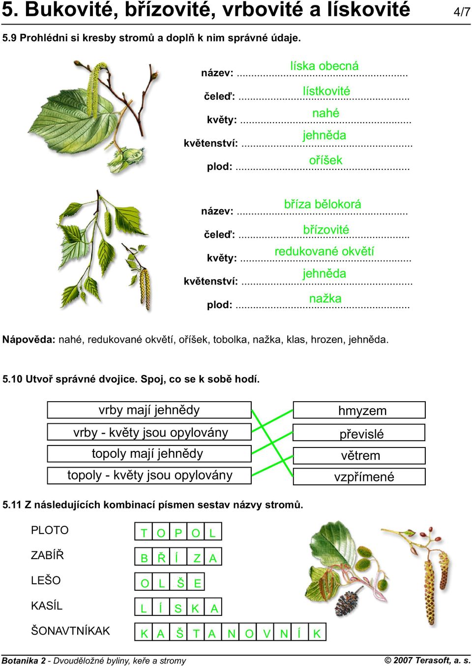 .. Nápovìda: nahé, redukované okvìtí, oøíšek, tobolka, nažka, klas, hrozen, jehnìda. 5.10 Utvoø správné dvojice. Spoj, co se k sobì hodí.