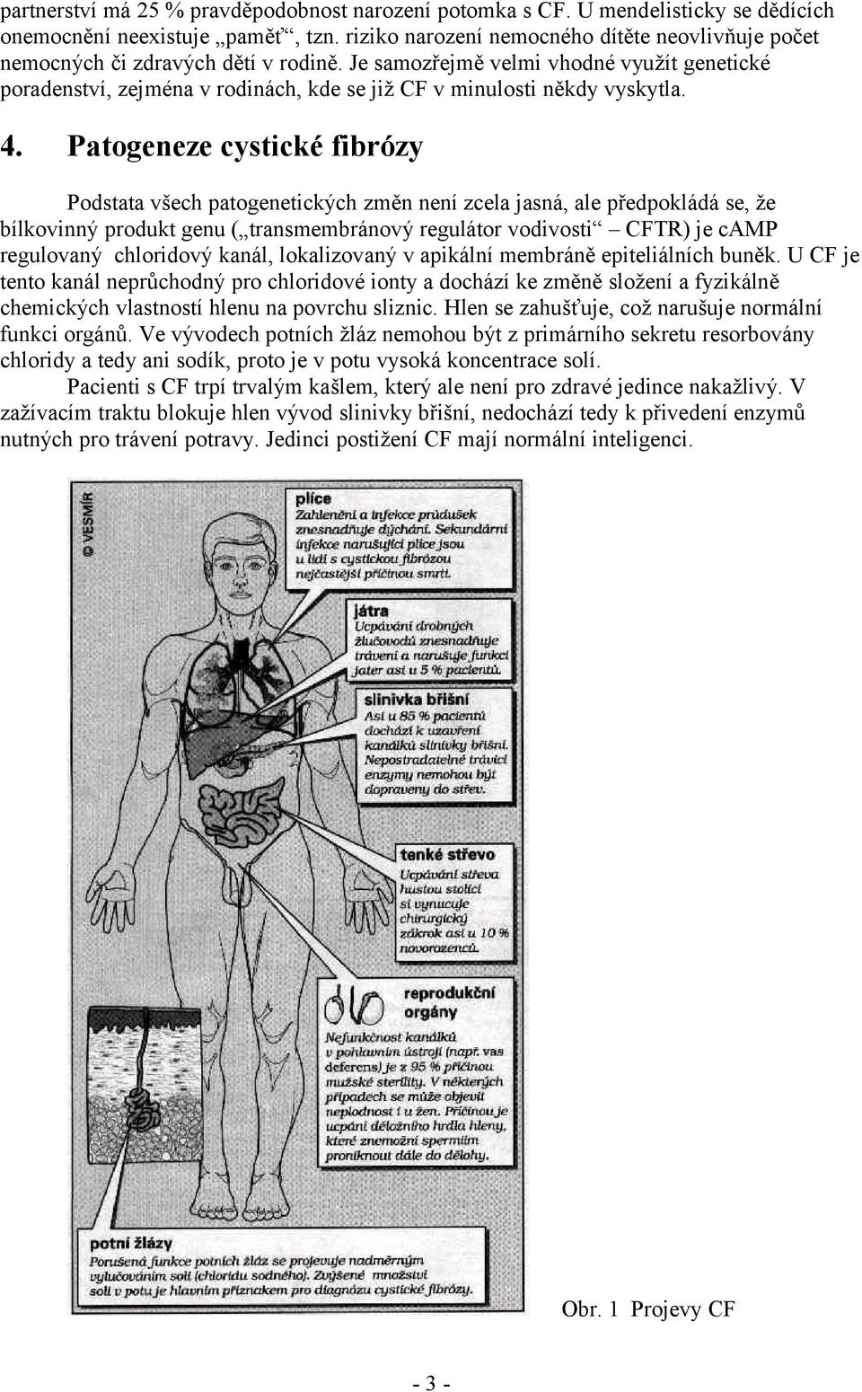 Je samozřejmě velmi vhodné využít genetické poradenství, zejména v rodinách, kde se již CF v minulosti někdy vyskytla. 4.