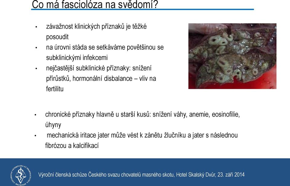 subklinickými infekcemi nejčastější subklinické příznaky: snížení přírůstků, hormonální disbalance vliv