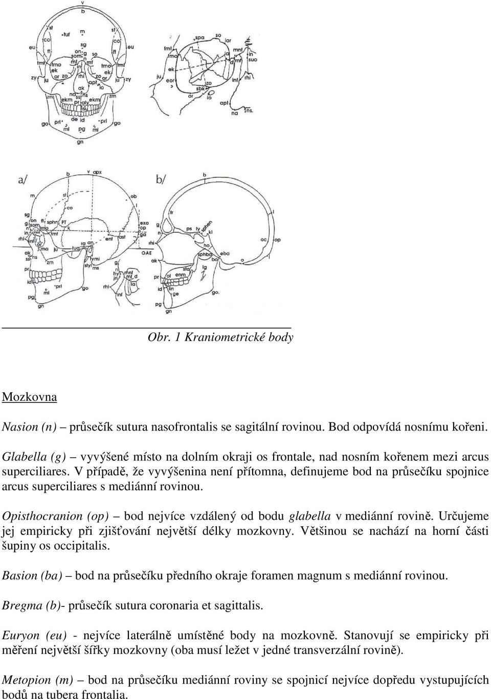 V případě, že vyvýšenina není přítomna, definujeme bod na průsečíku spojnice arcus superciliares s mediánní rovinou. Opisthocranion (op) bod nejvíce vzdálený od bodu glabella v mediánní rovině.