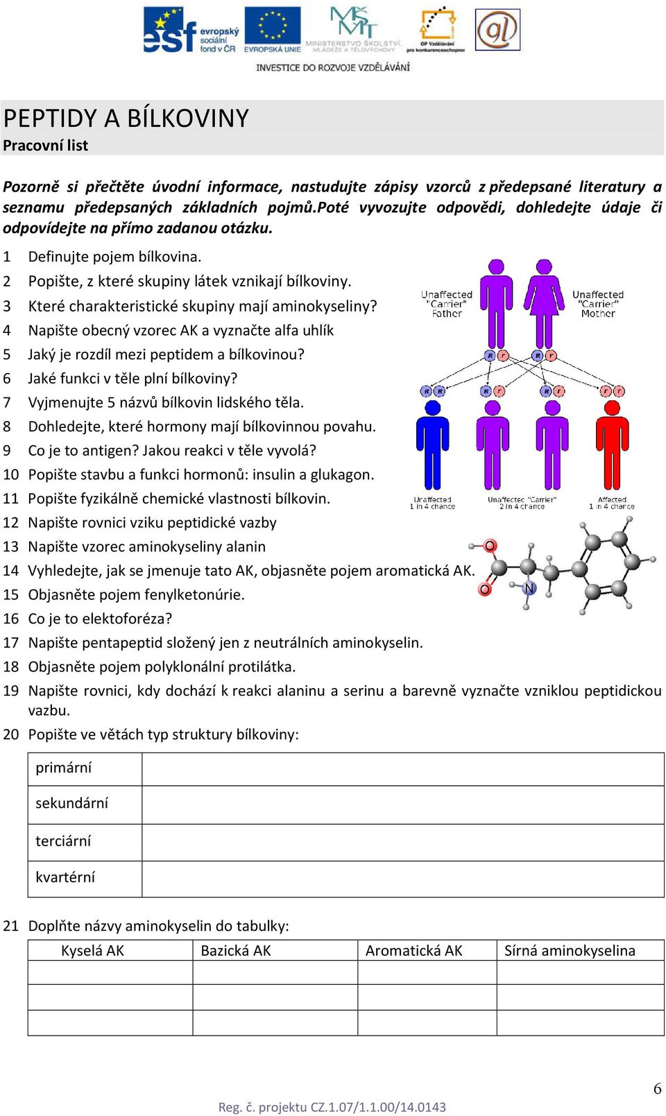 3 Které charakteristické skupiny mají aminokyseliny? 4 Napište obecný vzorec AK a vyznačte alfa uhlík 5 Jaký je rozdíl mezi peptidem a bílkovinou? 6 Jaké funkci v těle plní bílkoviny?