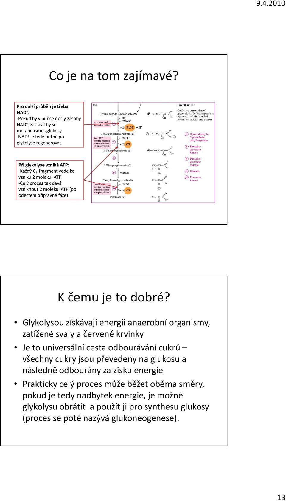 -Každý C 3 -fragment vede ke vzniku 2 molekul ATP -Celý proces tak dává vzniknout 2 molekul ATP (po odečtení přípravné fáze) K čemu je to dobré?